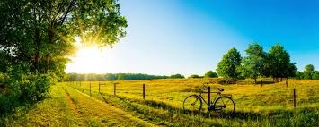 Sommer