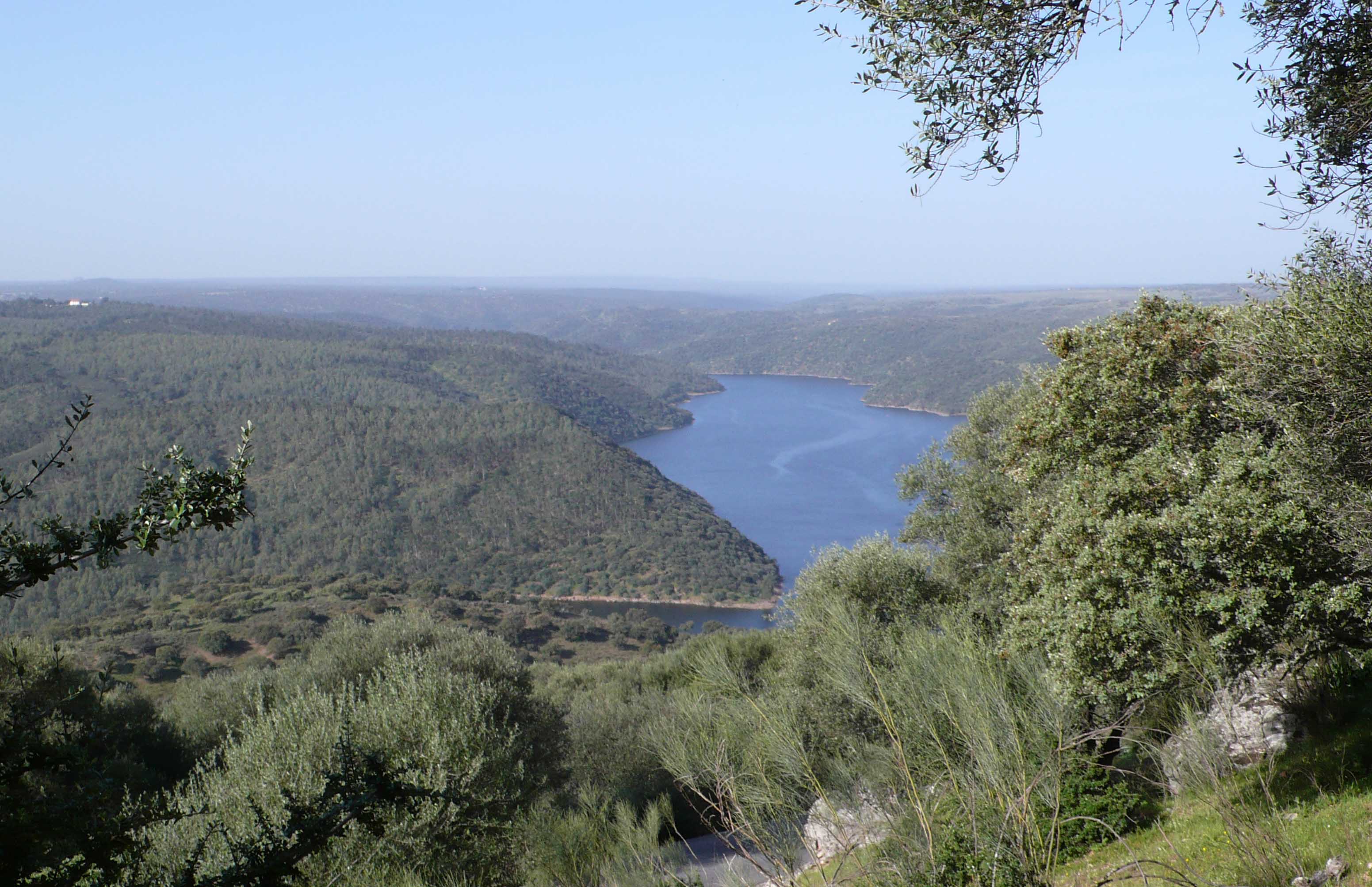 Udsigt ved Castillo de Monfragüe