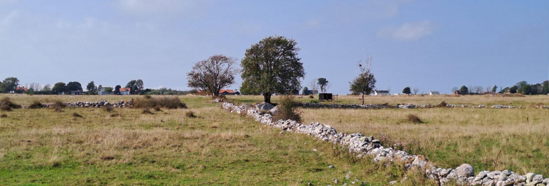 Efterår